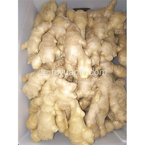 250 g luftgetrockneter Ingwer